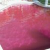 Rockin Red Party Pool! Color Additive Image 2