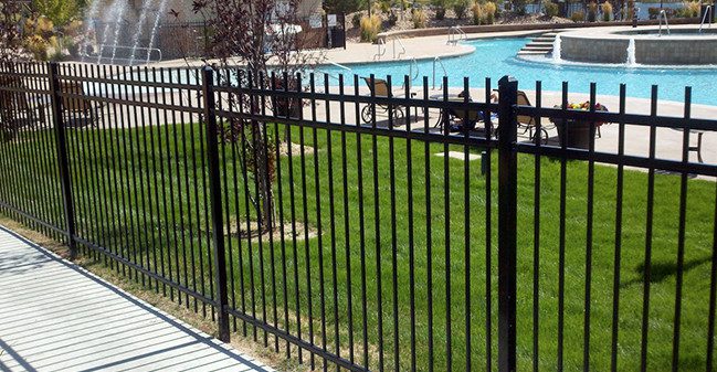 Ornamental Pool Fence